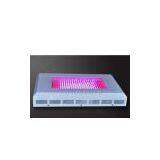 White Orange Yellow Hydroponics & Horticulture Led Plant Growing Lights 300W thumbnail-1