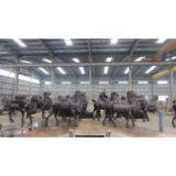 Bronze Camel Sculpture,cast Brass Camel Sculpture thumbnail-3