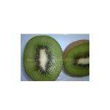 Hayward Kiwi thumbnail-1