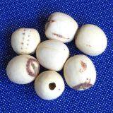 Lotus Seed Lotus Nut Lotus Kernel Dried Handmade White Lotus Seed Without Core Plumule thumbnail-2