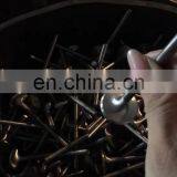 For Mitsubishi Galant MK6 2.5 V6 24v 6A13 tt 6a12 Forged New Design Steel Material Inlet Exhaust Engine Valve