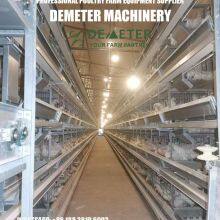 Layer Chicken Equipment thumbnail-2