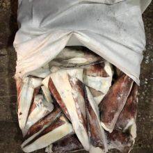 Frozen Seafood Squid Loins thumbnail-4