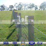 Galvanized Wire Mesh Grassland Fence/Ranch Fence