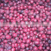 Healthy Fruit Fresh Frozen Cranberry IQF Cranberry thumbnail-5