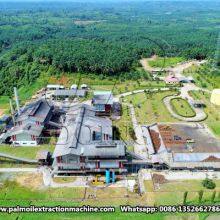 Palm Oil Pressers Red Crude Palm Oil Processing Machine for Sale thumbnail-3