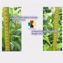 Hot Sale Plant Growth Regulator Prohexadione Calcium 10%WDG thumbnail-2