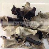 Dried Black and Back White Fungus