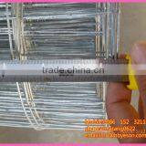 1" Hot Dip Galvanized Iron Wire Mesh Fence thumbnail-2