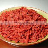 GOJI SIZE 380 thumbnail-1