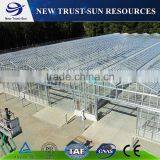 Multi-span Agricultural Glass Greenhouse thumbnail-1