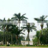 Outdoor Artificial Coconut Tree With Coconut Fruits