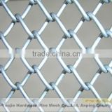 chain link wire mesh (20 years manufacturer)