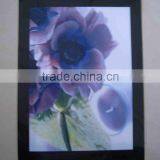 Custom Electroluminescent Light Sheet