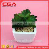 Artificial Artificial Succulent Plants Tropical Plants Plastic Emulation Succulent Plant thumbnail-5