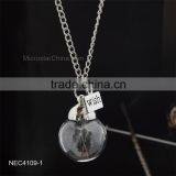 Love Glass Bottle Real Flower Jewelry Wish Charm Dandelion Seeds Necklace thumbnail-4