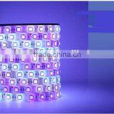 Magic Color 6803 Flexible Led Strip Light thumbnail-1