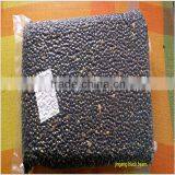 Sell Bake for Black Beans/Baked Black Beans thumbnail-6