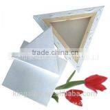 Custome Design Size High Quality Blank Photo Canvas Wall Art Home Decoration