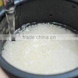 Delicious and Reliable Japanese Rice in Japan Rice at Reasonable Prices thumbnail-5