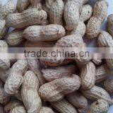 Good Quality China Peanut Sheller for Sale thumbnail-1