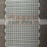^plastic Raised Floor for Poultry/chickens/pigs/broilers thumbnail-1