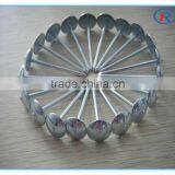 Cheap Price BWG12X2" Umbrella Head Roofing Nails With Plain Shank and Washer thumbnail-1