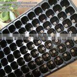 Black PS Material Plastic Type Plant Seed Growing Tray/ Vegetable Seedling Propagator/Flower Nursery Germination Tray thumbnail-2