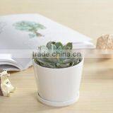 Indoor Mini Ceramic Decor White Plant Pot thumbnail-5