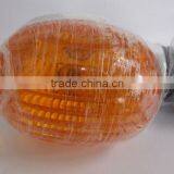 2 Wheel Motorcycle Spare Parts Type Turn Light/signle Light thumbnail-3