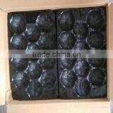 39*59cm Factory Supply PVC Fruit Tray for Apple thumbnail-6