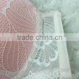 2017 Hot Sale Women Lace Stylish Push Up Bra And Panties Set Sexy Underwear thumbnail-3