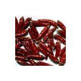 Chaotian r Chilli thumbnail-2