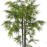 new product artificial bonsai bamboo tree with natural colour