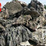 Yingde City Mingfu Garden Co., Ltd. company overview - view 3 thumbnail