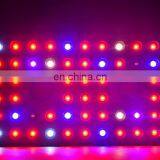 COB 1000W LED Plant Grow Light Full Spectrum Indoor Plants Light Growing Veg Flower-1000W thumbnail-3