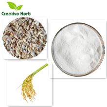 Free sample competitve price natural rice bran extract Ferulic acid 99%