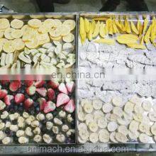 Suitable for Economical and Practical Freeze Dryer or Drying Equipment for Medicine Fruits and Vegetables thumbnail-5