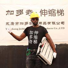 Skillful Alumnium Accessorie Iron Small Platform Household Ladder thumbnail-4