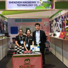 Shenzhen Kingberry Electronic Technology Co., Ltd company overview - view 2 thumbnail