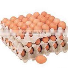 30 Psc Egg Tary Box Making Machine /Waste Paper Making Egg Tray Product Line /egg Tary Packing thumbnail-5