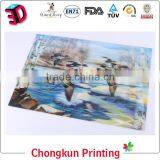 Beautiful 3d Lenticular PP PET Picture Poster for Home Decoration