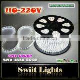 Waterproof IP65 110V/220V 100m LED Strip Light RGB CE&RoHs Approved