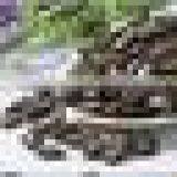 Melon Seeds Processing Machine thumbnail-2