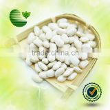 Chinese Medium White Kidney Beans Medium