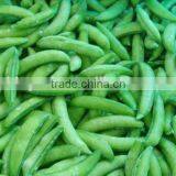 IQF Frozen Sugar Snap Peas for Sale thumbnail-1