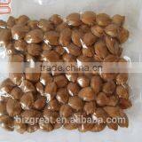 Supply With Chinese Bulk Spicy Flavored Roasted Apricot Kernels in Shell thumbnail-6