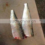 2016 HGT Frozen Sardine for Cannery Industry