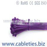 Weather Resistant Plastic Cable Tie thumbnail-4
