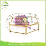 ^^^~~~ Wholesale Handblown Geometric Pot for Home& Wedding Decor ^^^~~~ Terraium Glass Plant Lacquer Vase thumbnail-1